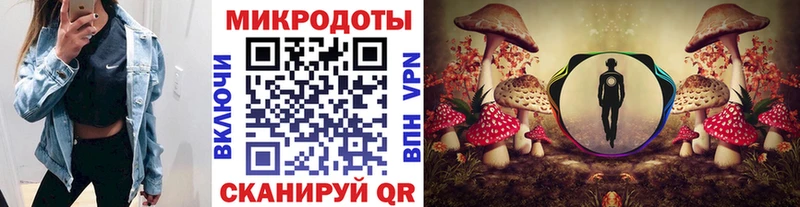 Псилоцибиновые грибы MAGIC MUSHROOMS  продажа наркотиков  Рыльск 